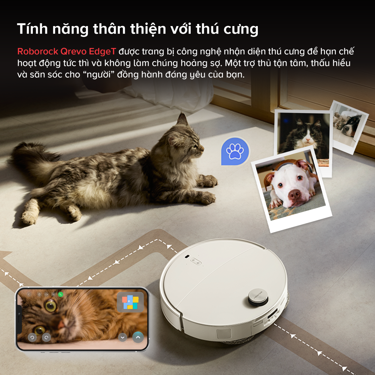 Pet_Qrevo_EdgeT_2000x2000_266f6e03-4ba8-42b9-8162-d71bc28e264b